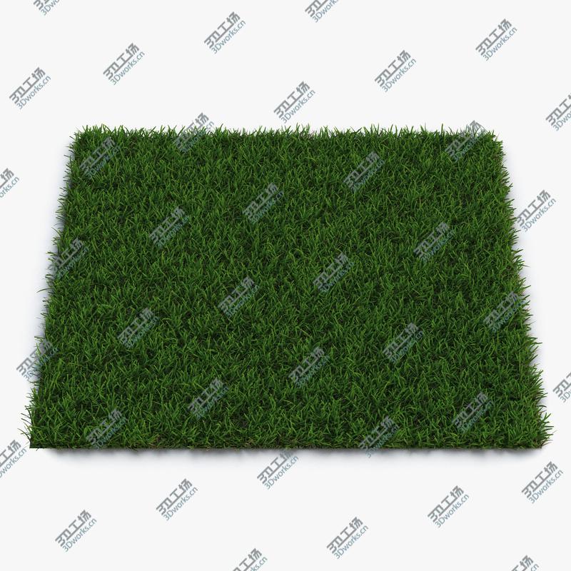 images/goods_img/202104091/Centipede Warm Season Grass/1.jpg